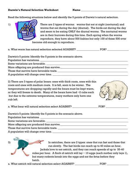 darwin's natural selection worksheet answers worms